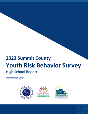 Youth Risk Behavior Survey High School report cover